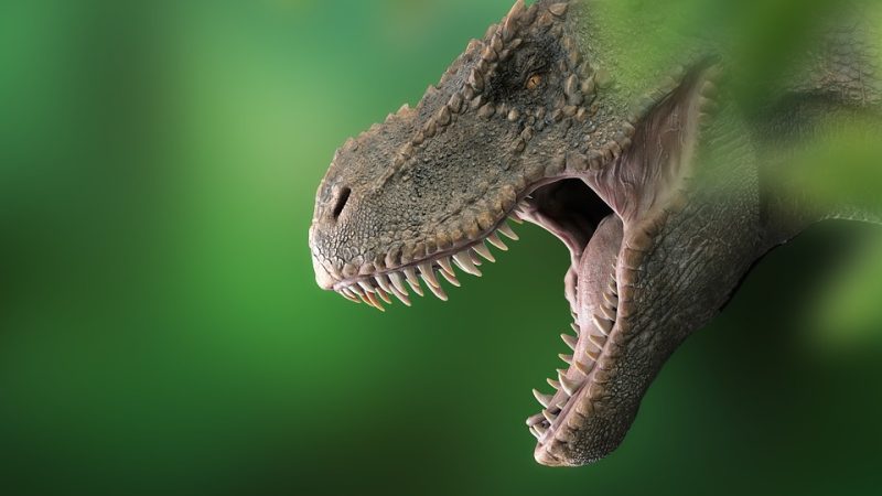 Анализ следов говорит о том, что предки крокодила ходили на задних лапах, как тиранозавр. (Image: Yuri_B via Pixabay)
 | Epoch Times Россия