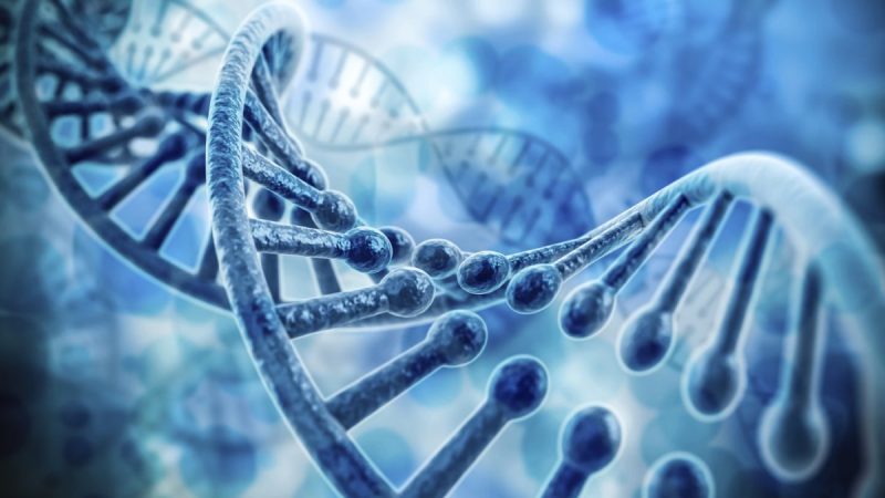 Двойная спираль ДНК. Digitalgenetics/istock | Epoch Times Россия