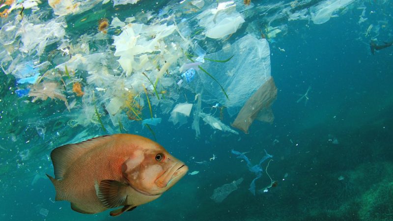 Пластмассы, возможно, скоро можно будет перерабатывать бесконечно. (Иллюстрация - Shutterstock)
 | Epoch Times Россия