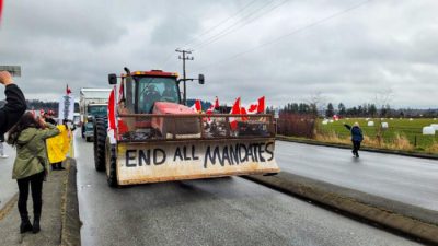 Массовые акции протеста проходят в разных городах Канады после подавления протестующих в Оттаве