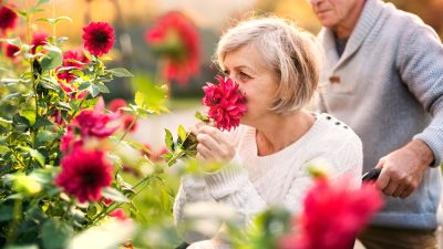 Последствия  COVID-19: Пожилым людям может быть сложнее нюхать розы