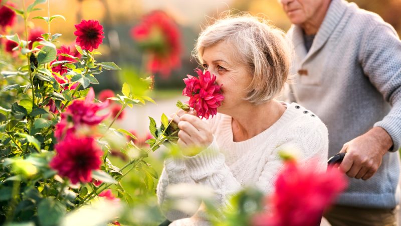 Недавнее исследование показало, что у более половины людей в возрасте от 65 до 80 лет в той или иной степени потеряно обоняние. Shutterstock  | Epoch Times Россия