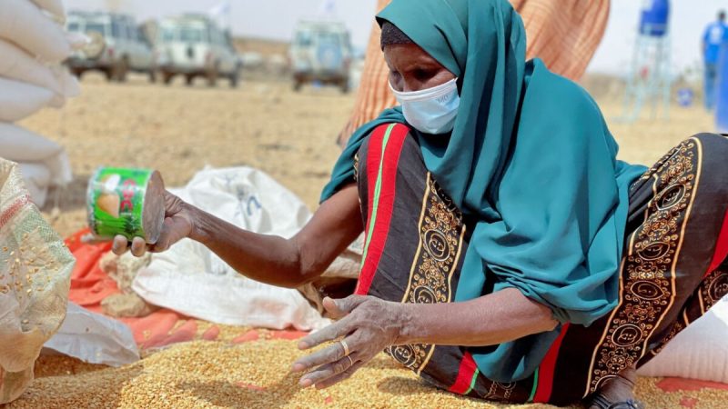 Эфиопская женщина перебирает запасы продовольствия во время визита регионального директора Всемирной продовольственной программы (ВПП) Майкла Данфорда в лагерь для перемещённых лиц в Ададле, регион Сомали, Эфиопия, 22 января 2022 года. (Claire Nevill/WFP via AP)
 | Epoch Times Россия