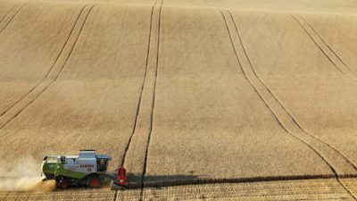 Мишустин: Россия должна уделять приоритетное внимание внутренним поставкам зерна для производства хлеба