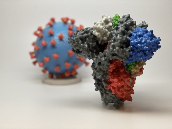 Вакцина COVID-19 от Pfizer попадает в клетки печени и преобразуется в ДНК