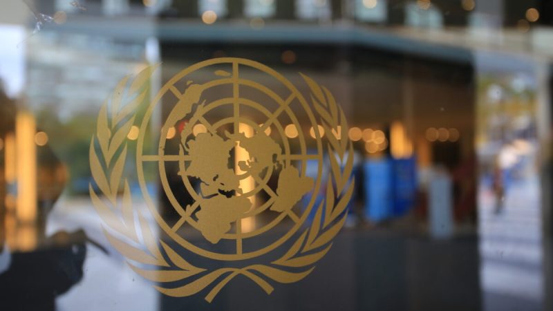 Логотип Организации Объединённых Наций в штаб-квартире ООН в Нью-Йорке, октябрь 2016 г. (LewisTsePuiLung/AdobeStock)  | Epoch Times Россия