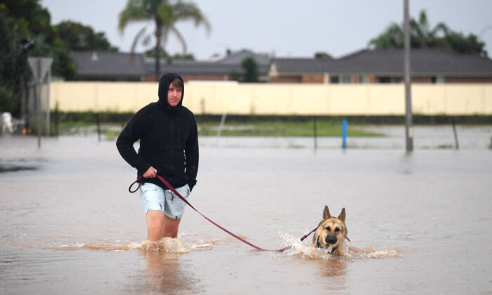Мужчина выгуливает свою собаку по затопленной улице в Баллине, Австралия, 3 марта 2022 года. (Dan Peled/Getty Images) | Epoch Times Россия