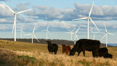 Возобновляемые источники энергии составляют треть энергии Австралии