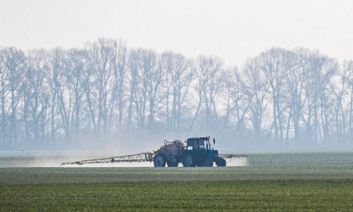 Трактор разбрасывает удобрения на поле озимой пшеницы возле села Гусачивка в Киевской области, Украина, 17 апреля 2020 года. (ValentynOgirenko/Reuters)
 | Epoch Times Россия