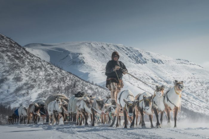 Фотограф запечатлел жизнь кочевых оленеводов Сибири в невероятной серии фотографий