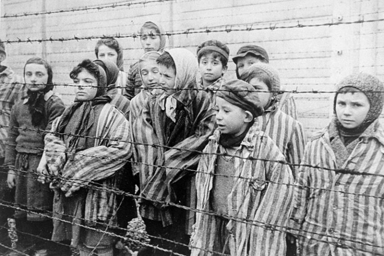 Дети за колючей проволокой, выжившие в Освенциме. (Image: Public Domain via Wikimedia)