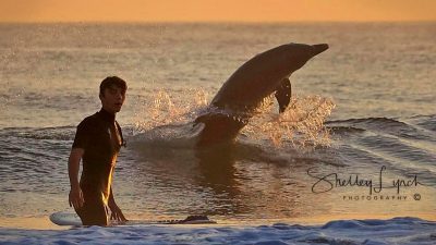 Дельфин катался на волне рядом с серфером