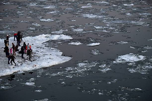 Люди на льдине. Фото: ATTILA KISBENEDEK/AFP via Getty Images | Epoch Times Россия