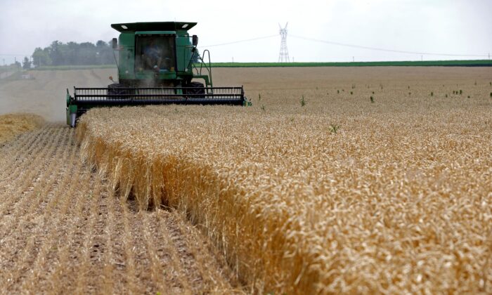 Комбайн убирает на поле красную озимую пшеницу на ферме в Диксоне, штат Иллинойс, 16 июля 2013 года. (JimYoung/Reuters) | Epoch Times Россия