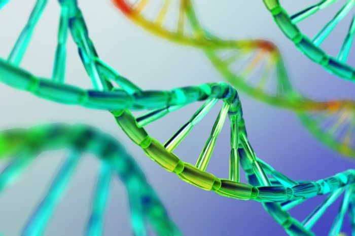 Могла ли эволюция человека обеспечить наличие 3 млрд кодов ДНК?