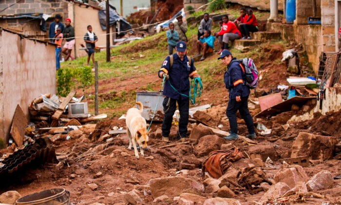 Собака работает с поисково-спасательной группой для поиска тел в Дассенхуке недалеко от Дурбана, ЮАР, 17 апреля 2022 года. Фото: Rogan Ward/Reuters | Epoch Times Россия