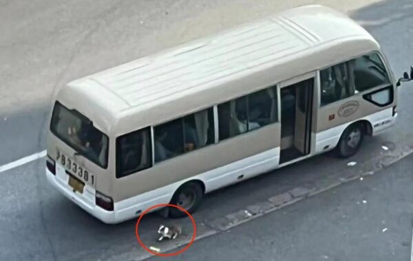 Собака породы корги бегает вокруг автобуса, на котором её хозяев отвезут в карантинный центр в Шанхае 6 апреля 2022 года. (Screenshot via The Epoch Times)