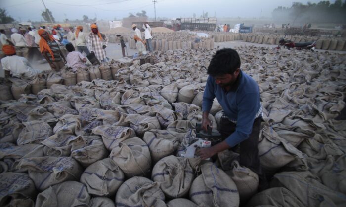 Рабочий запечатывает мешки, наполненные пшеницей, в Гурдаспуре, Индия, 30 апреля 2014 года. (Channi Anand, File/AP Photo) | Epoch Times Россия