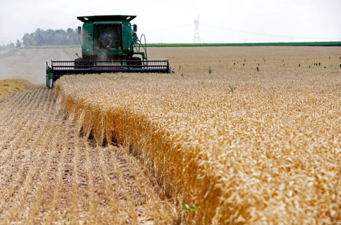 Индия запретила экспорт пшеницы из-за опасений по поводу дефицита продовольствия