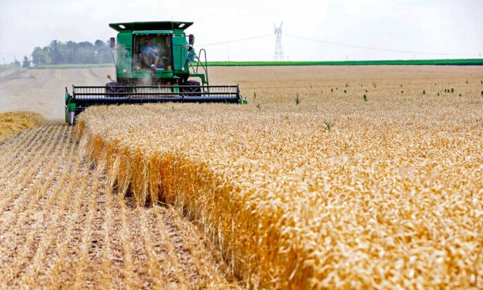 Комбайн собирает урожай мягкой красной озимой пшеницы на ферме в Диксоне, штат Иллинойс, 16 июля 2013 года. Фото: Jim Young/Reuters | Epoch Times Россия