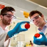 Австралийские химики разработали способ очищения воды от ртути с помощью отработанного материала