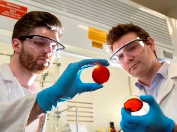 Доктор Макс Уортингтон (слева) в лаборатории Чалкера. (Provided by Flinders University)  | Epoch Times Россия