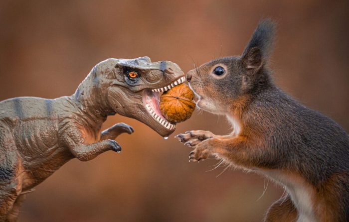 Фотограф сделал очаровательную серию фотографий белок с динозаврами