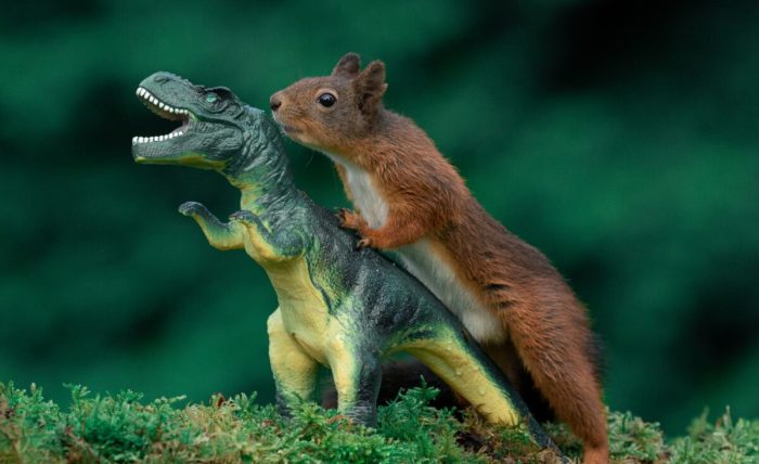 Фотограф сделал очаровательную серию фотографий белок с динозаврами