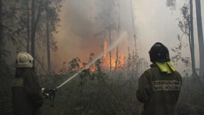 Площадь лесных пожаров в Красноярском крае превысила 1000 га