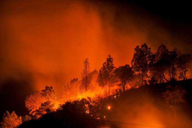 Лесной пожар. Фото: AFP via Getty Images | Epoch Times Россия