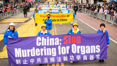 ЕС принял резолюцию, осуждающую насильственное извлечение органов в Китае