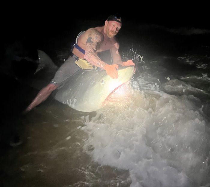 В США рыболов поймал 3-метровую тигровую акулу-монстра в Мексиканском заливе