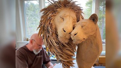 Художники создали из старых картонных коробок потрясающе реалистичных любящих львов в натуральную величину