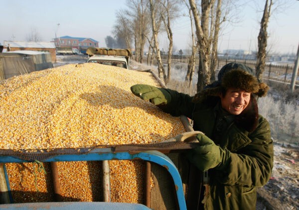 Фермер ждёт продажи своего зерна на государственном складе зерновых запасов в Юшу, провинция Цзилинь, Китай, 8 января 2009 года. (China Photos/Getty Images)