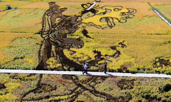 Изображение китайской небесной девы создано высадкой различных сортов риса на рисовом поле в Шэньяне, провинция Ляонин на северо-востоке Китая. Фото: STR/AFP/Getty Images
 | Epoch Times Россия