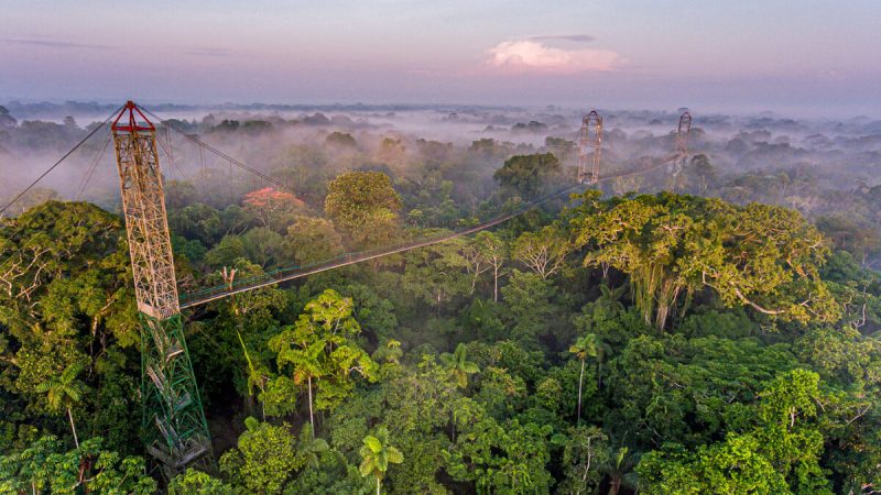 Стальной подиум на высоте 45 метров тянется через верхушки деревьев возле частного экологического заповедника Sacha Lodge в тропическом лесу Эквадора. (Фото любезно предоставлено Sacha Lodge) | Epoch Times Россия