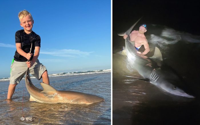 В США рыболов поймал 3-метровую тигровую акулу-монстра в Мексиканском заливе