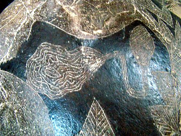 В Перу найдены загадочные камни с изображениями доисторических «кардиохирургов»