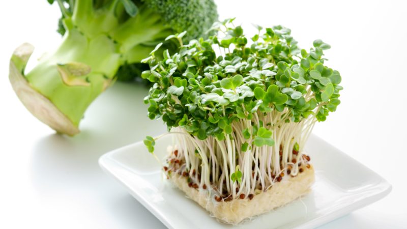 Все формы брокколи полезны для вас и вашего здоровья, но ростки брокколи содержат питательные вещества, которые особенно полезны для людей, страдающих раком.  Фото: Shutterstock  | Epoch Times Россия