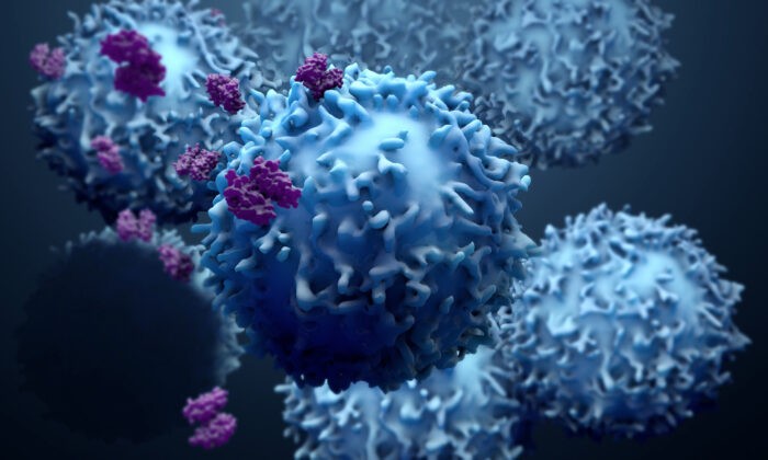 Исследование показало универсальный предиктор смертности для 16 видов солидных опухолей. (Design_Cells/Shutterstock) | Epoch Times Россия