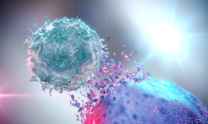 Естественная клетка-киллер уничтожает раковую клетку. Alpha Tauri 3D Graphics/Shutterstock | Epoch Times Россия