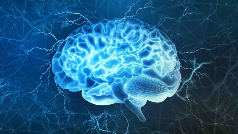 Если будет окончательно доказано, что разум зависит от мозга, то аргумент в пользу того, что NDE являются событиями, основанными на мозге, также будет верен. Yurchanka Siarhei/Shutterstock | Epoch Times Россия