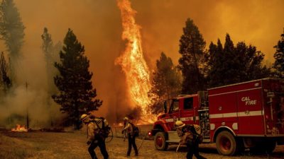Лесной пожар в Калифорнии вышел из-под контроля