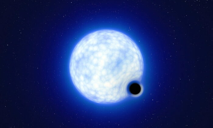 На этом недатированном раздаточном снимке показано, как могла бы выглядеть бинарная звёздная система VFTS 243, содержащая чёрную дыру и большую светящуюся звезду, вращающихся вокруг друг друга, если бы мы наблюдали её вблизи. (ESO/L. Calcada/Handout via Reuters)
 | Epoch Times Россия