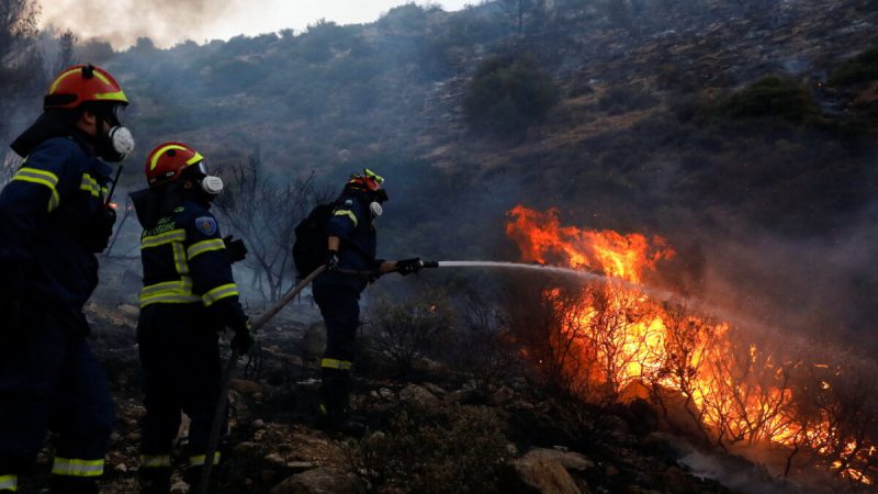 Пожарные и добровольцы пытаются потушить лесной пожар возле Вари на юге Афин, Греция, 4 июня 2022 года. (Costas Baltas/Reuters) | Epoch Times Россия