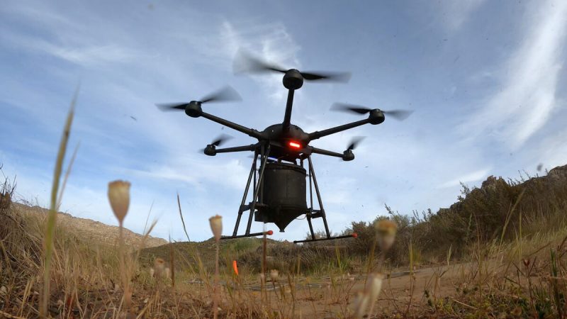 Передовые технологии дронов используются для восстановления находящихся под угрозой исчезновения лесов и тропических лесов. Фото: AirSeed | Epoch Times Россия