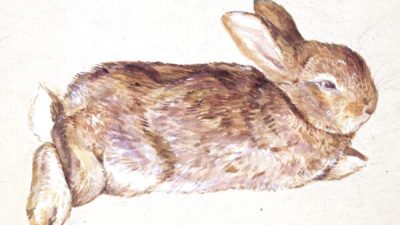 Больше, чем кролики: удивительное наследие Беатрикс Поттер