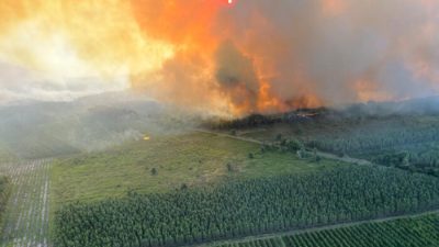 Франция и Испания борются с распространяющимися лесными пожарами