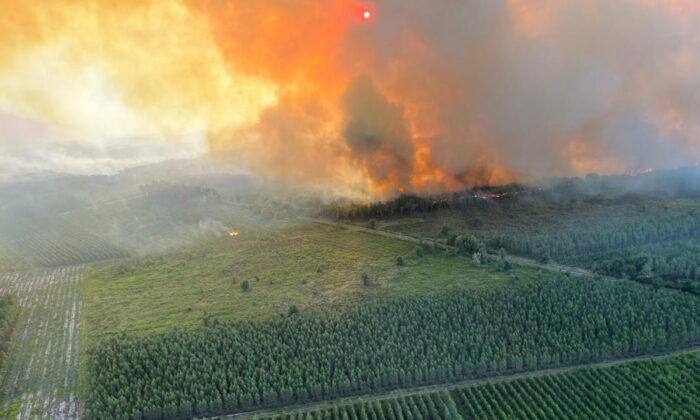 Лесной пожар возле Ландираса, юго-запад Франции, 17 июля 2022 года, на фотографии, предоставленной пожарной командой региона Жиронда (SDIS 33). (SDIS 33 via AP) | Epoch Times Россия