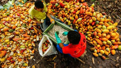 Как Бразилия спасает мир от катастрофического продовольственного кризиса